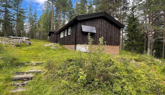 Outdoor Haven in Grue Vestside: Your Ideal Base for outdoor living