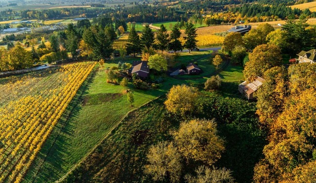 Panoramic Vineyard Views, Pet Friendly, New Deck, Game Room, Ping Pong, Darts, Walk to Vineyards