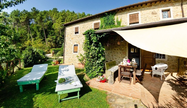 Podere L'istrice - Massa e Cozzile ,Tuscany
