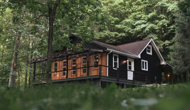 Quaint cottage in the woods with swim spa