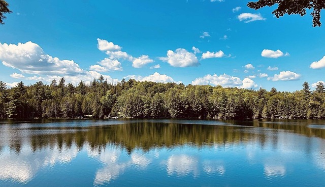 Quiet lakeside getaway in Central Maine - 5 minutes from town!