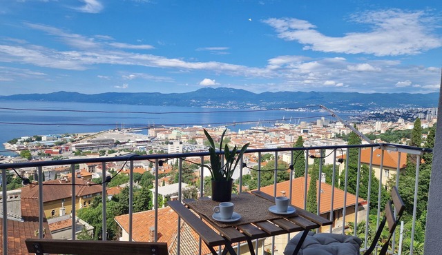 Sea view apartment with free parking