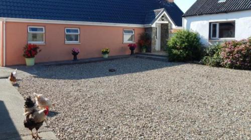 The Cosy Barn in Doonbeg