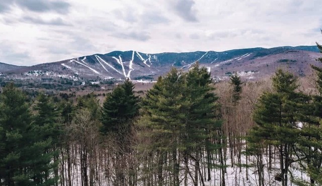 The SugarFunk Chalet (Access Rd w/Sugarbush Views)