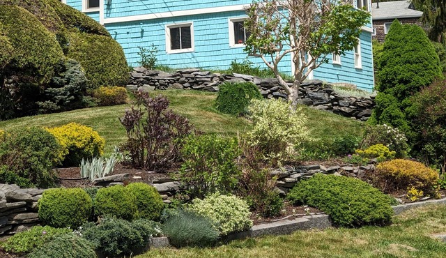 The Virginia -3 bedroom 2 bath cottage on Peaks Island, Maine