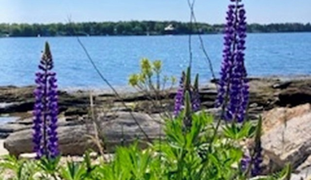 Welcome to your relaxing, coastal getaway ! Oceanfront home nestled on the picturesque Orrs Island