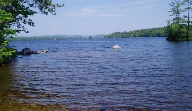 Wooded Highland Lake Waterfront Cabin - Great Beach and Dock