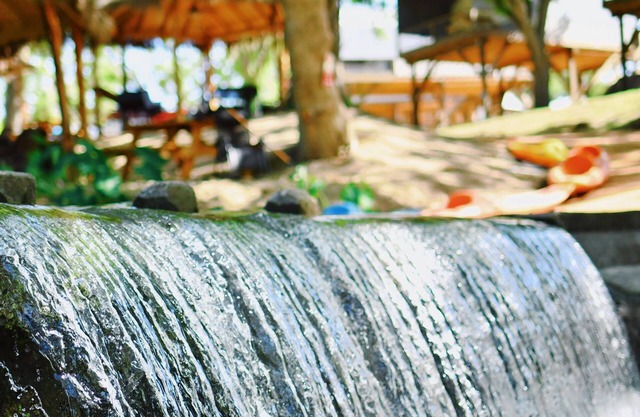 Son Rio Cibolo 