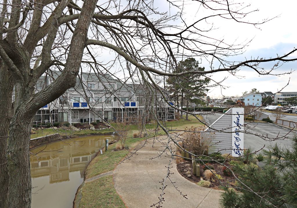 Photo of Buildings in Fenwick Island