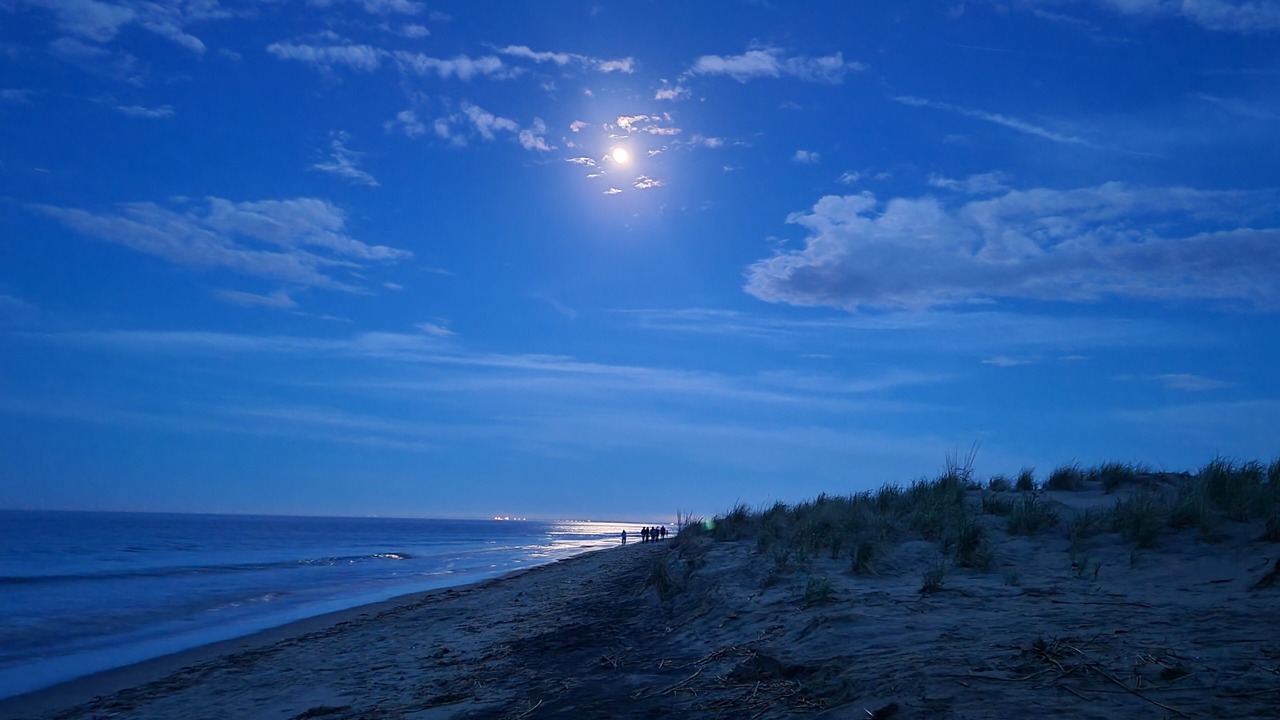 Photo of Others in Broadkill Beach