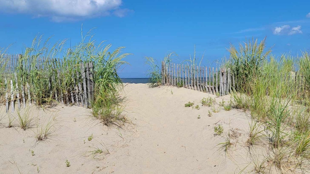 Photo of Others in Broadkill Beach