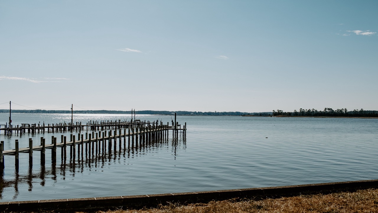 Photo of Others in Millsboro