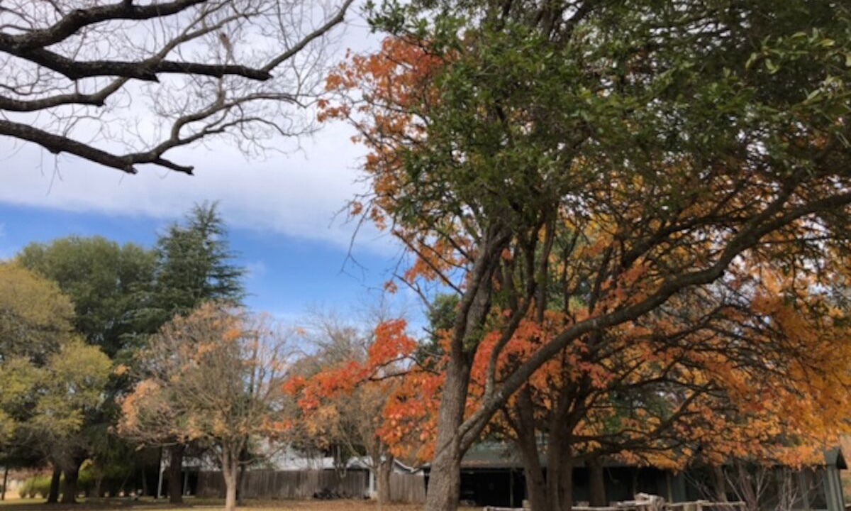 Photo of Outdoor in Hunt