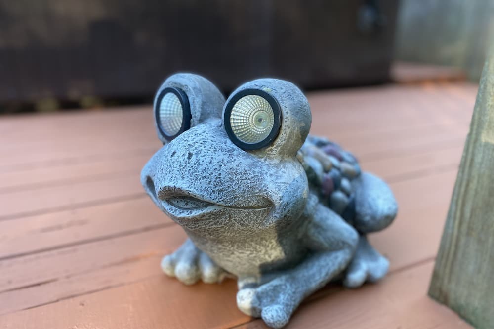 Photo of Others in Friendship