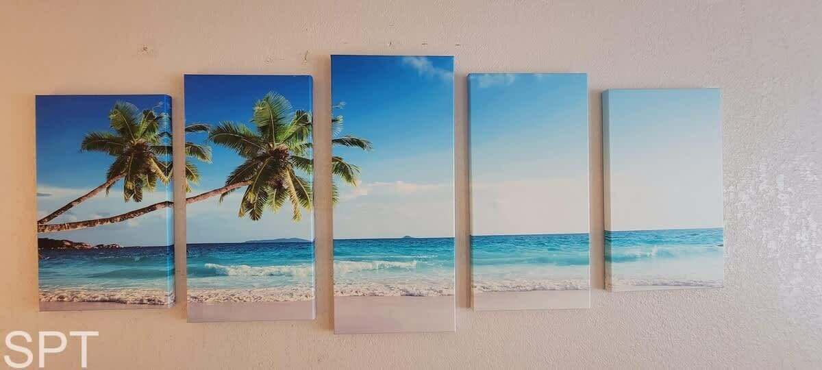 Photo of Others in South Padre Island