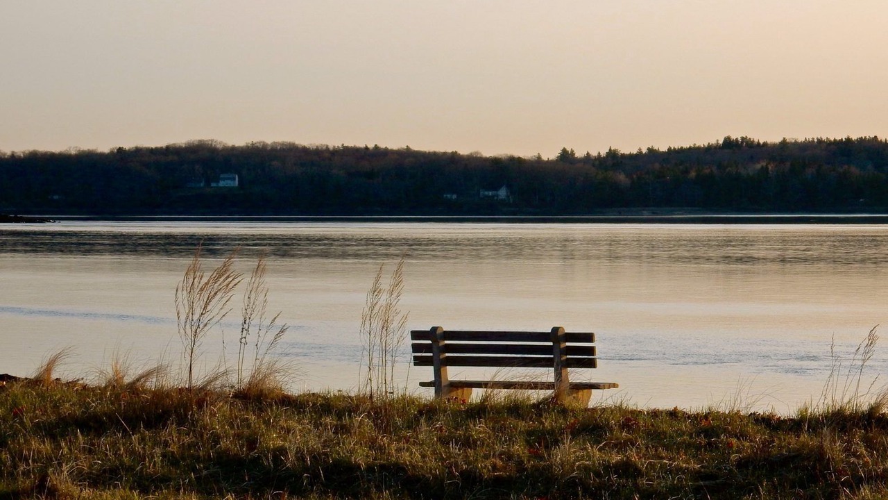 Photo of Others in Sandy Point