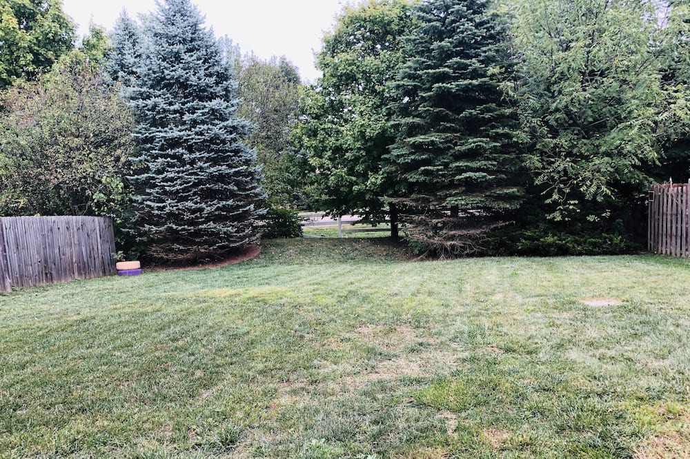 Photo of Outdoor in Galloway