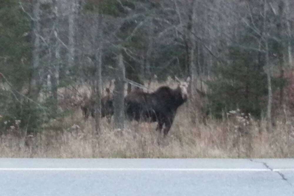 Photo of Outdoor in Jackman