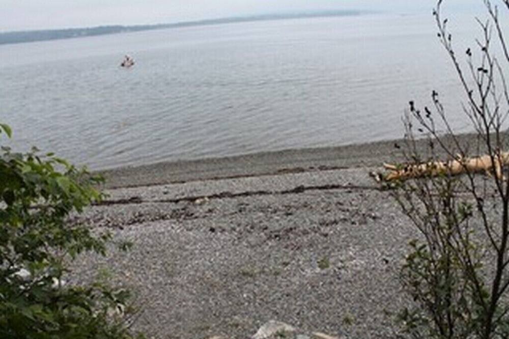Photo of Others in Salsbury Cove