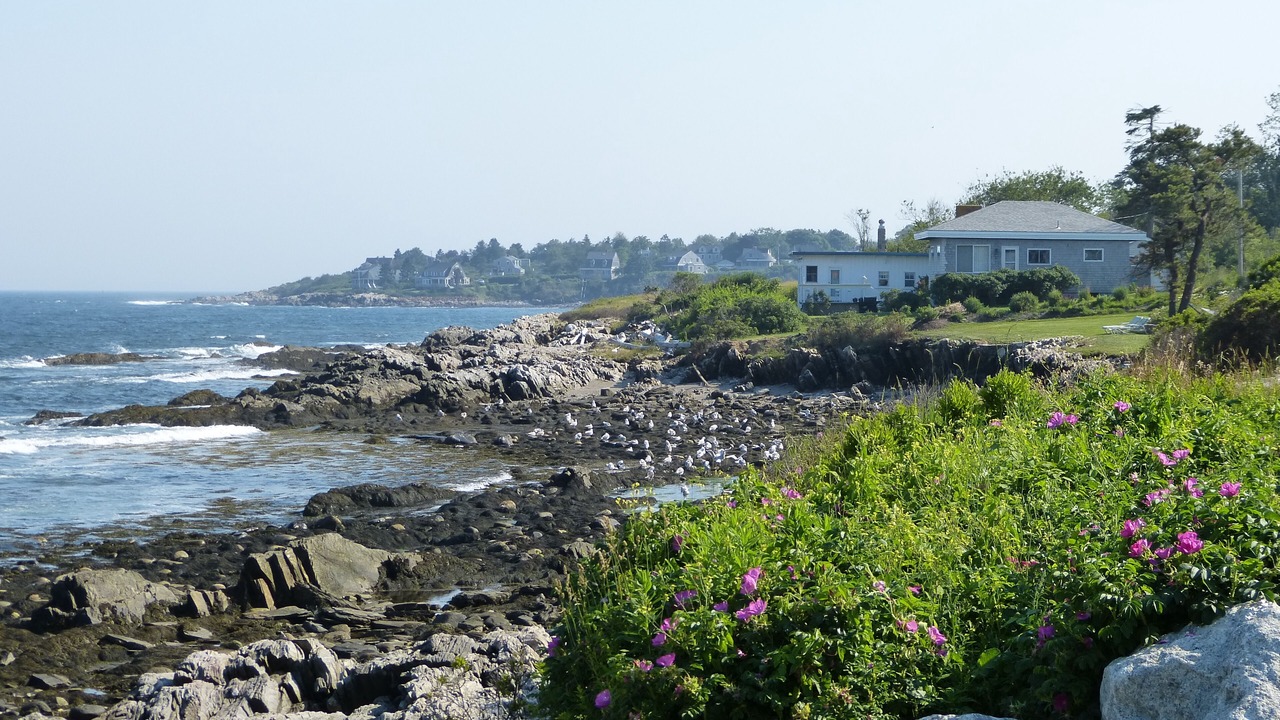 Photo of Others in Mid-Coast and Islands