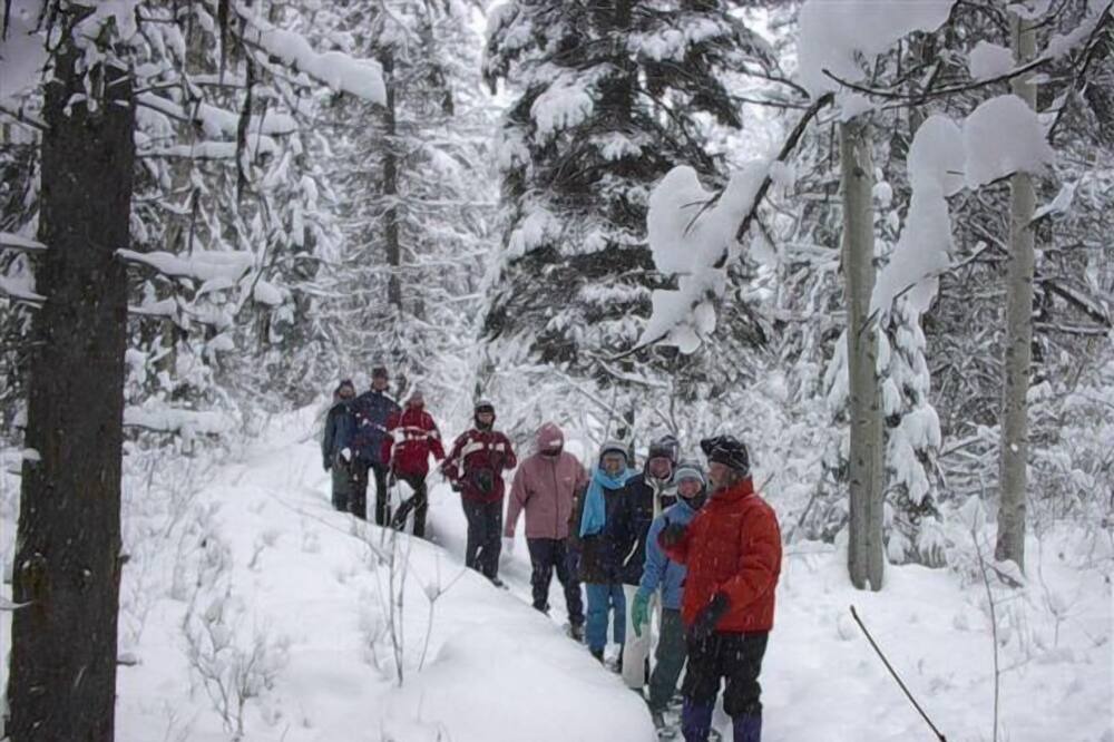 Photo of Others in Stratton