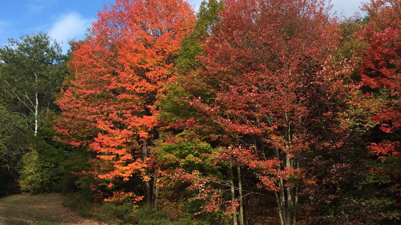 Photo of Outdoor in Milton