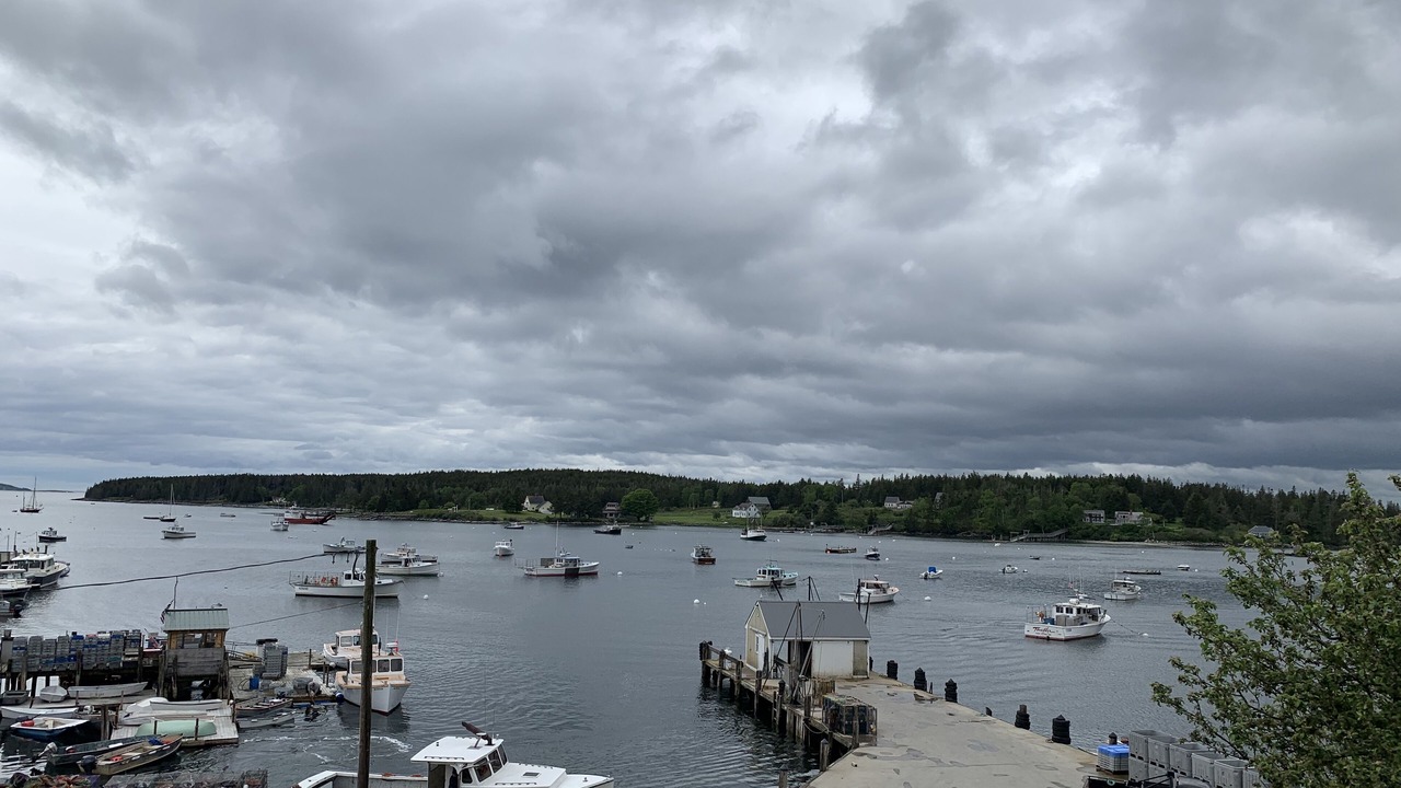 Photo of Others in Port Clyde