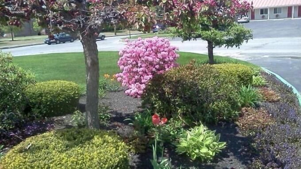 Photo of Outdoor in Skowhegan