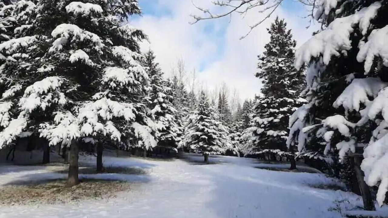 Photo of Outdoor in San Marcos