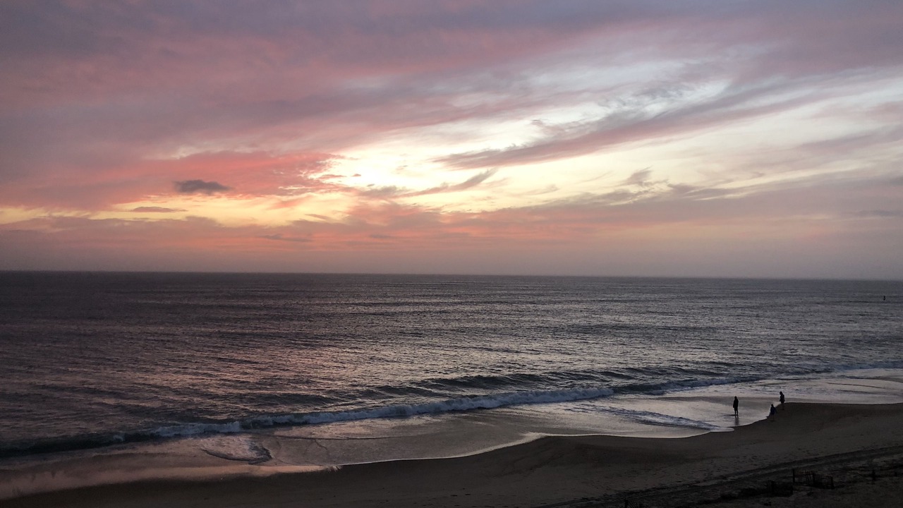 Photo of Others in South Rehoboth