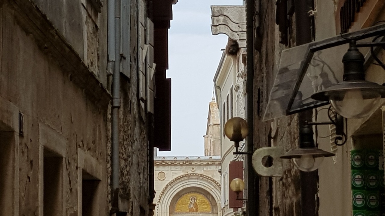 Photo of Others in Spadici