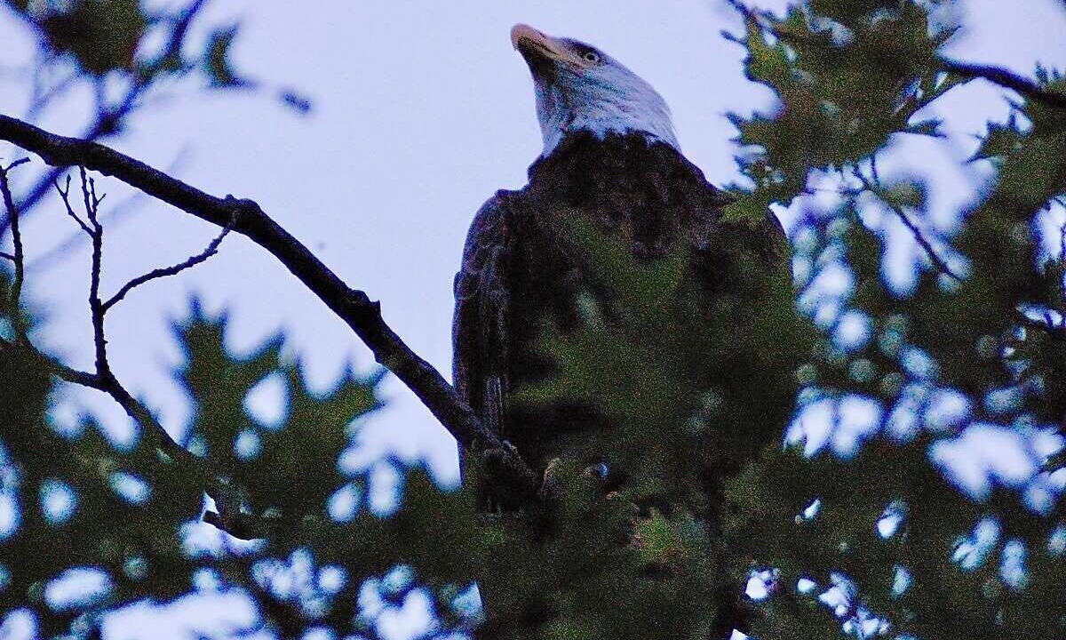 Photo of Others in Monmouth