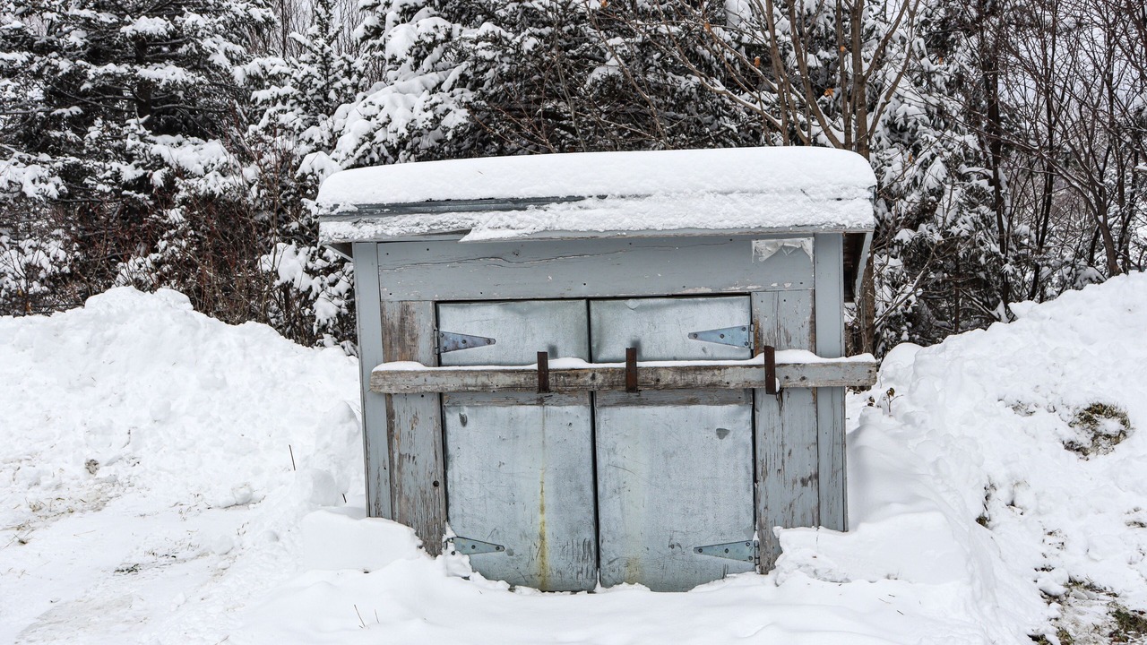 Photo of Others in Rangeley