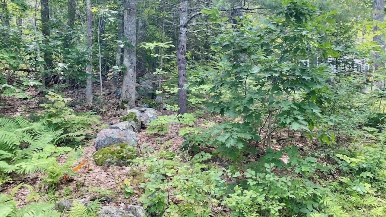Photo of Others in Edgecomb