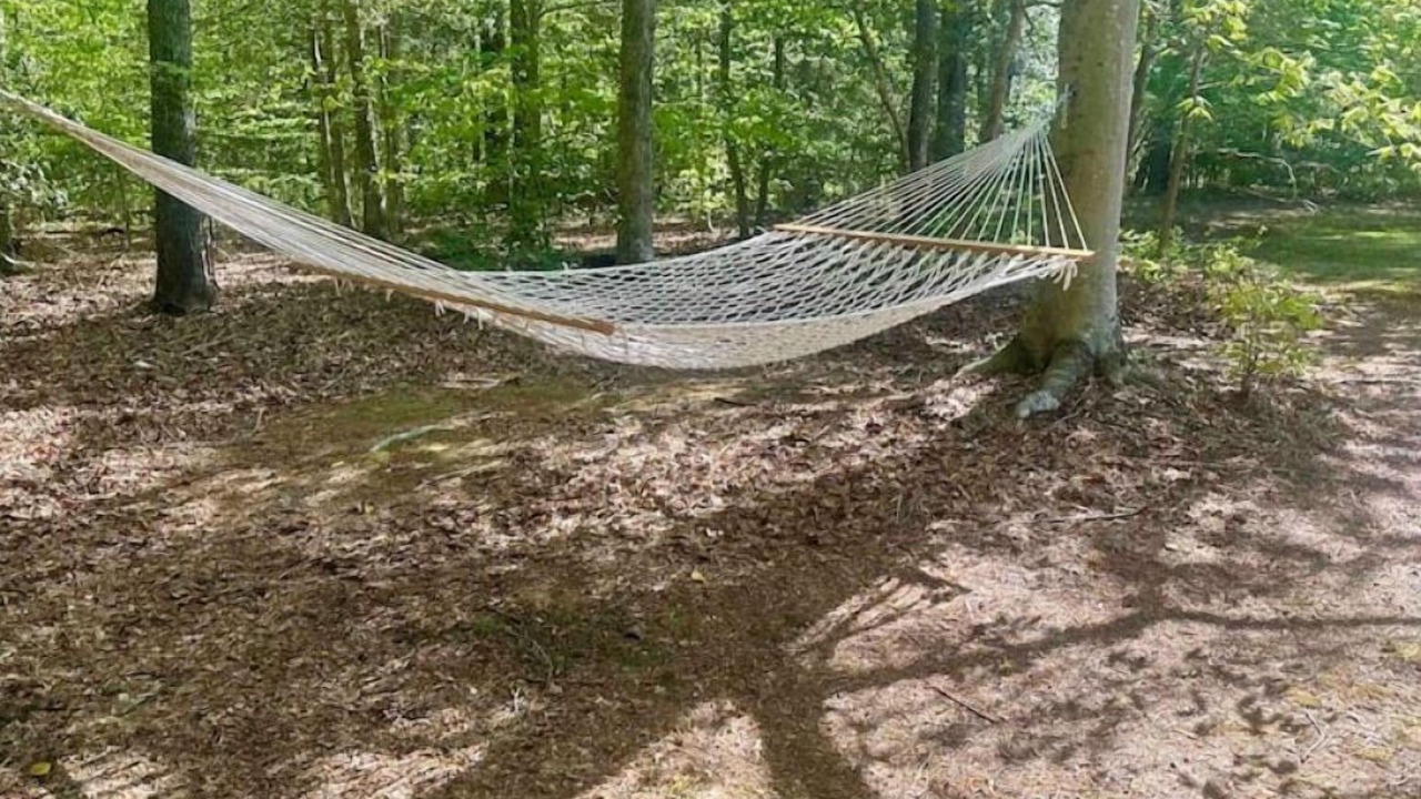 Photo of Outdoor in Ware