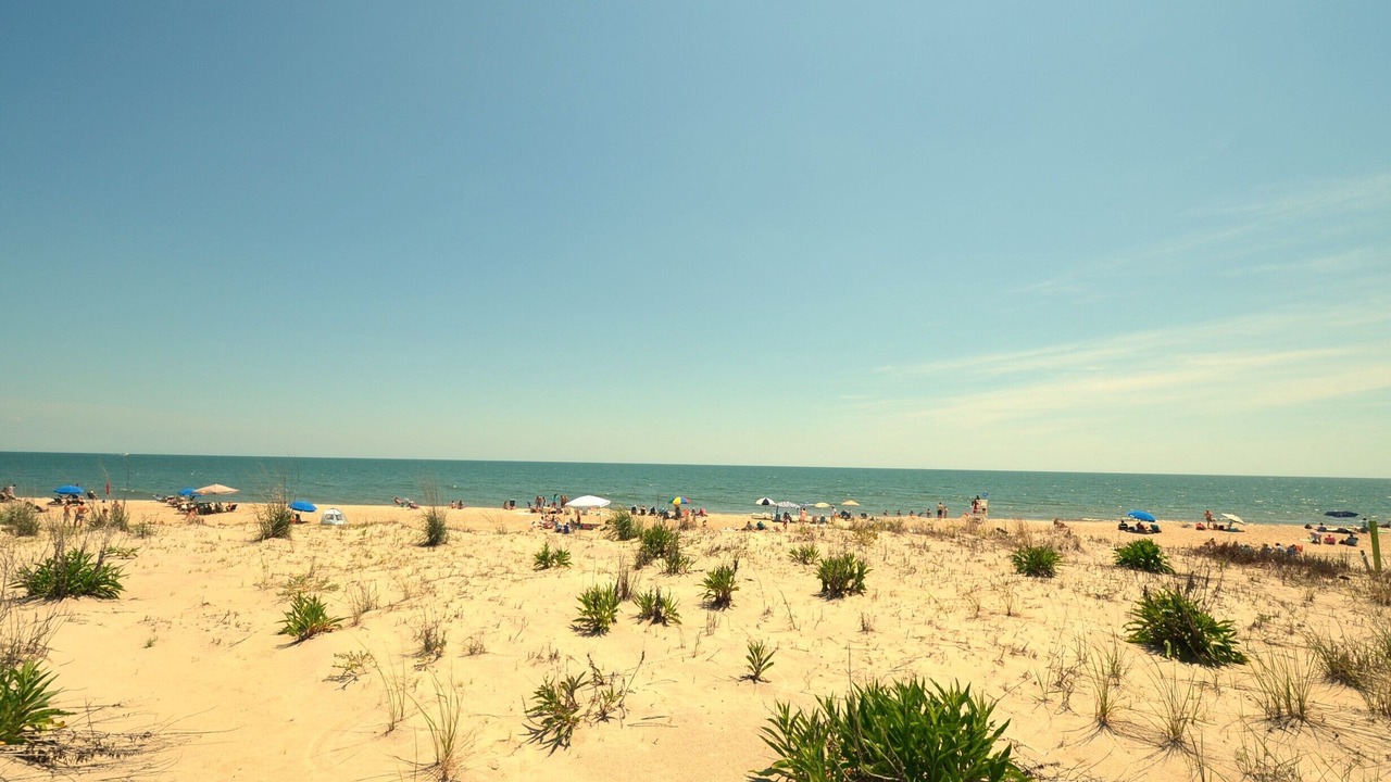 Photo of Others in Rehoboth by the Sea
