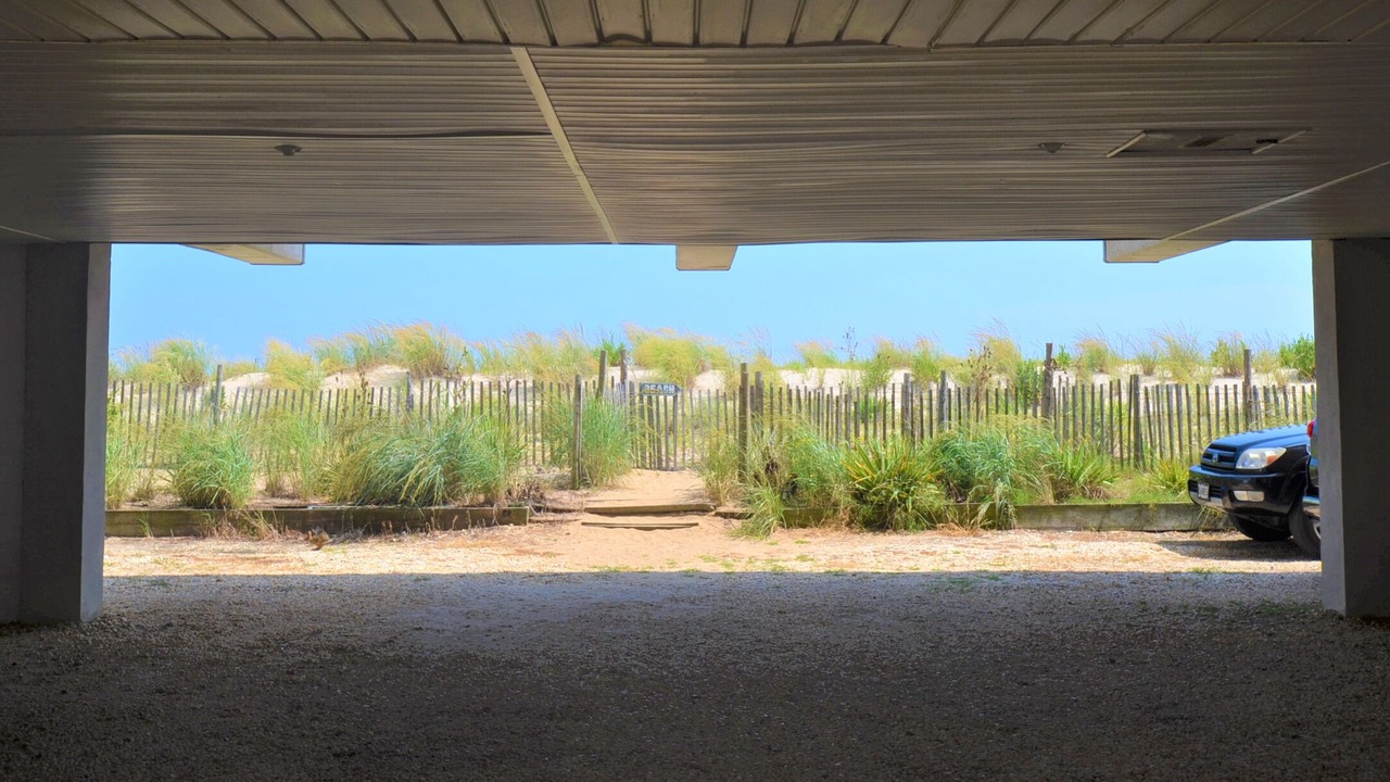 Photo of Outdoor in Rehoboth by the Sea