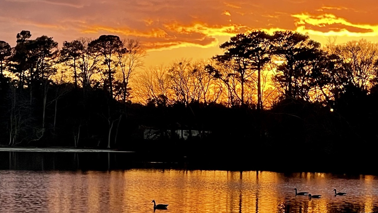 Photo of Others in Millsboro