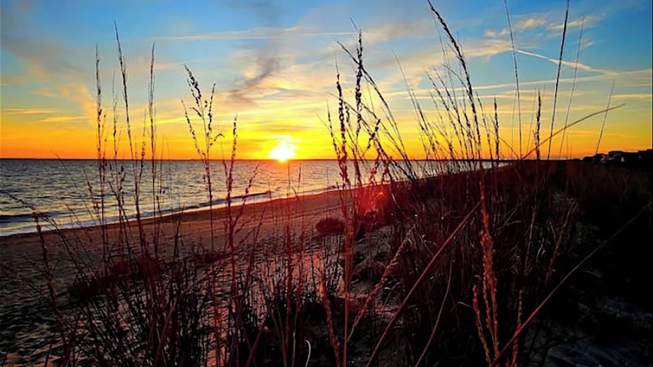 Photo of Others in Broadkill Beach