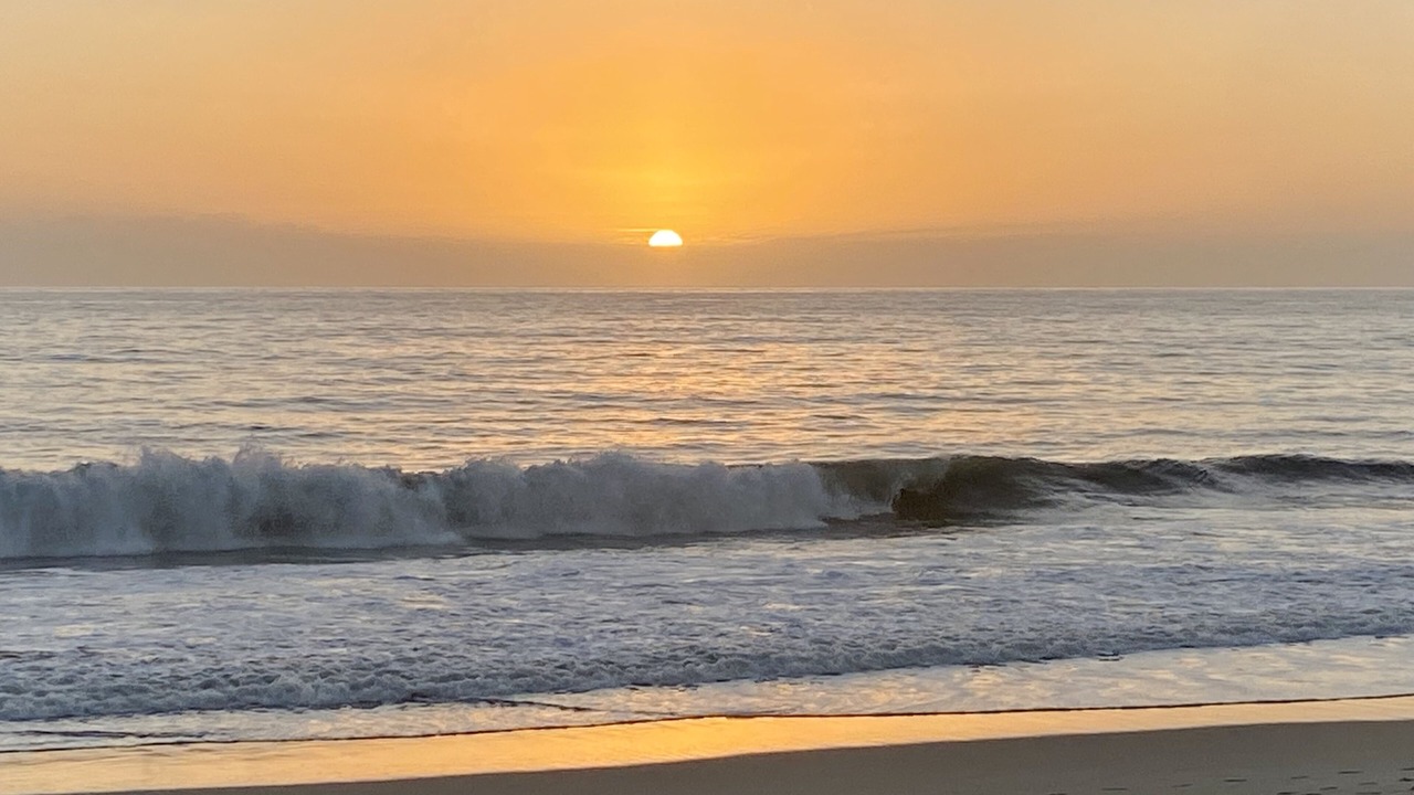 Photo of Others in Ocean View