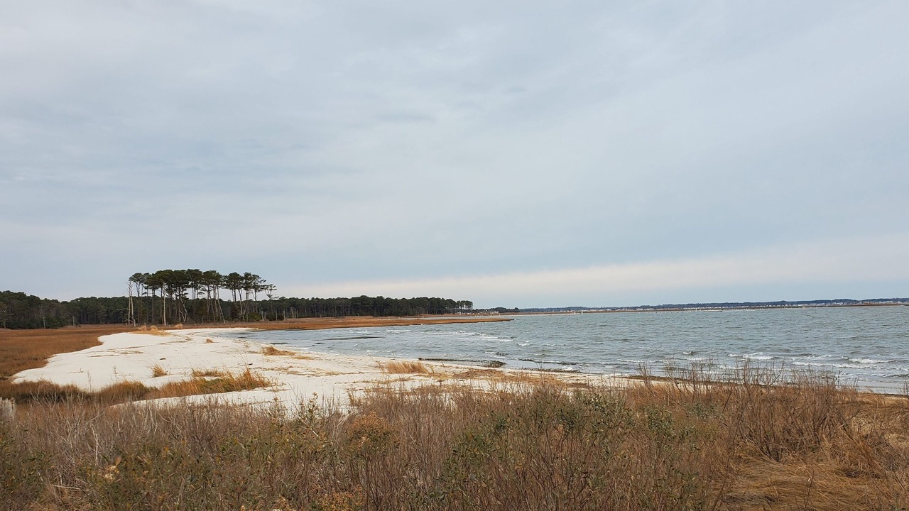 Photo of Others in Rehoboth Beach