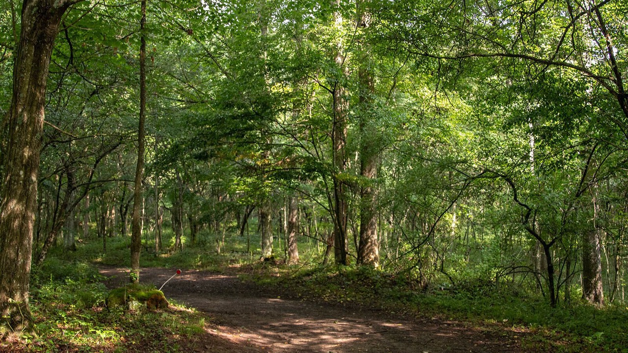 Photo of Outdoor in Edray