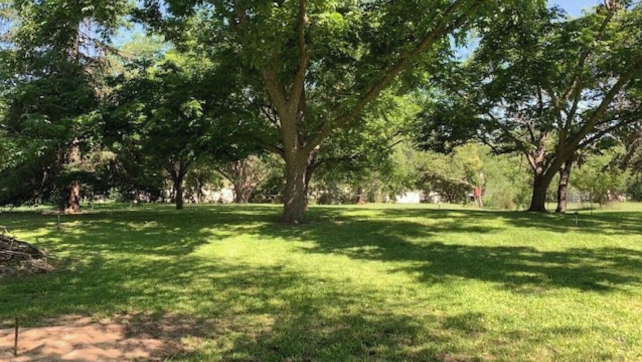 Photo of Others in Leakey