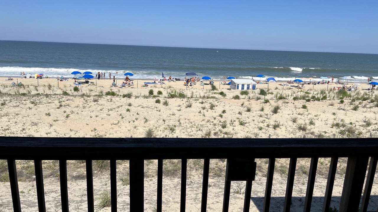 Photo of Others in Dewey Beach