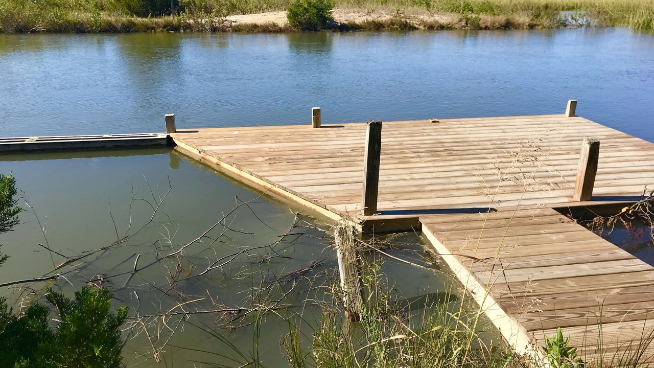 Photo of Outdoor in Broadkill Beach