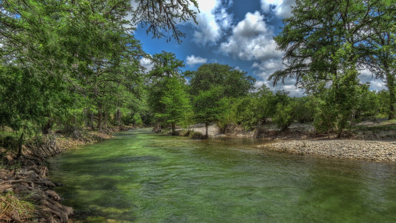 Photo of Others in Rio Frio