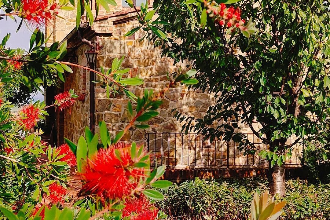 Photo of Outdoor in Bollano