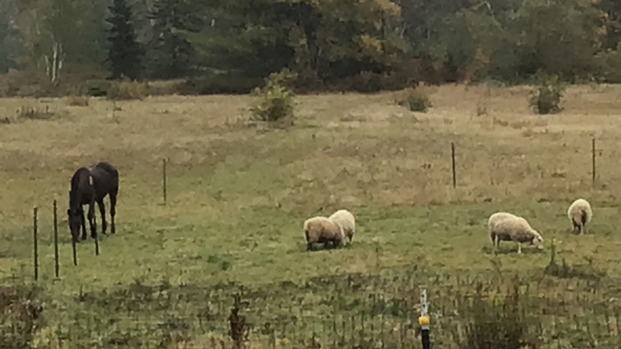 Photo of Others in Waldoboro