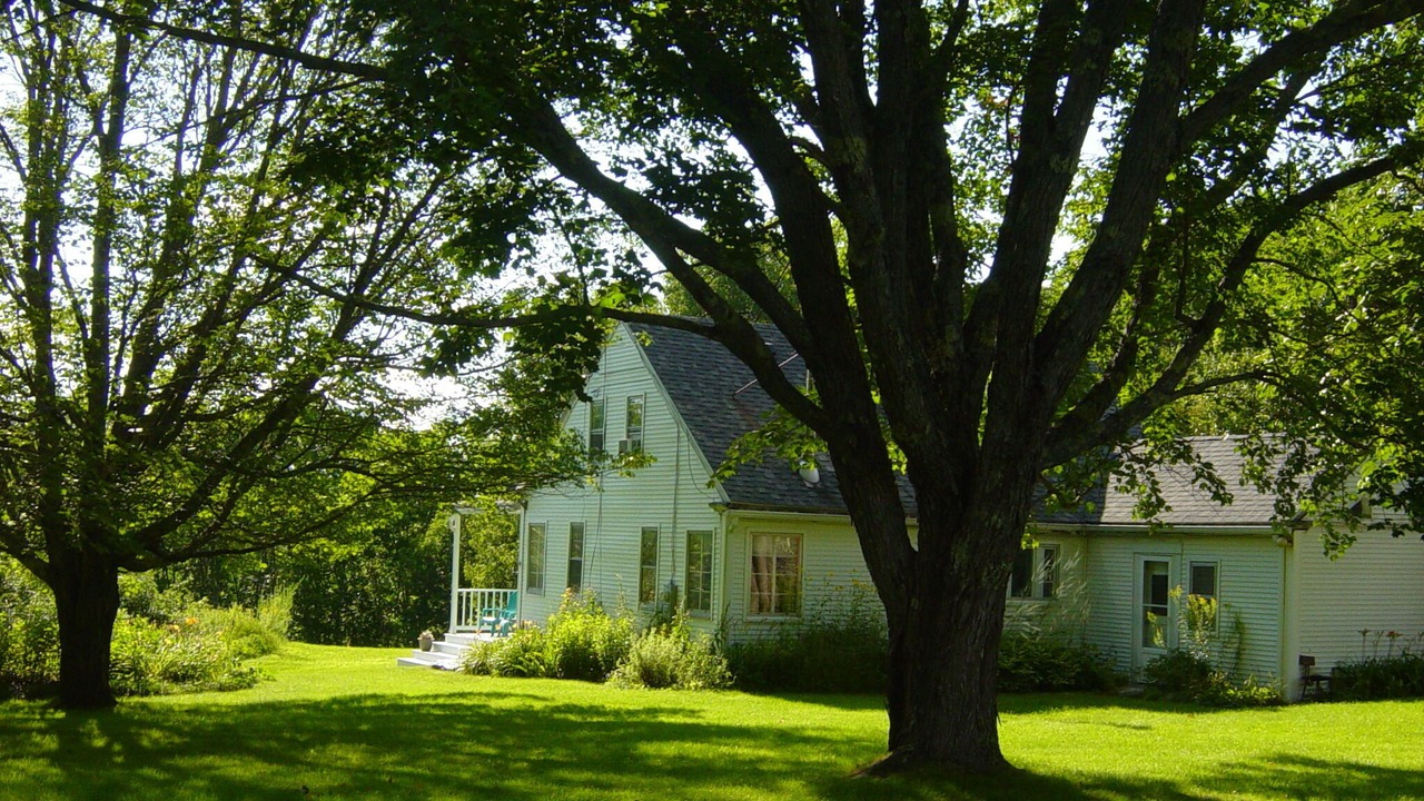 Photo of Outdoor in Waldoboro