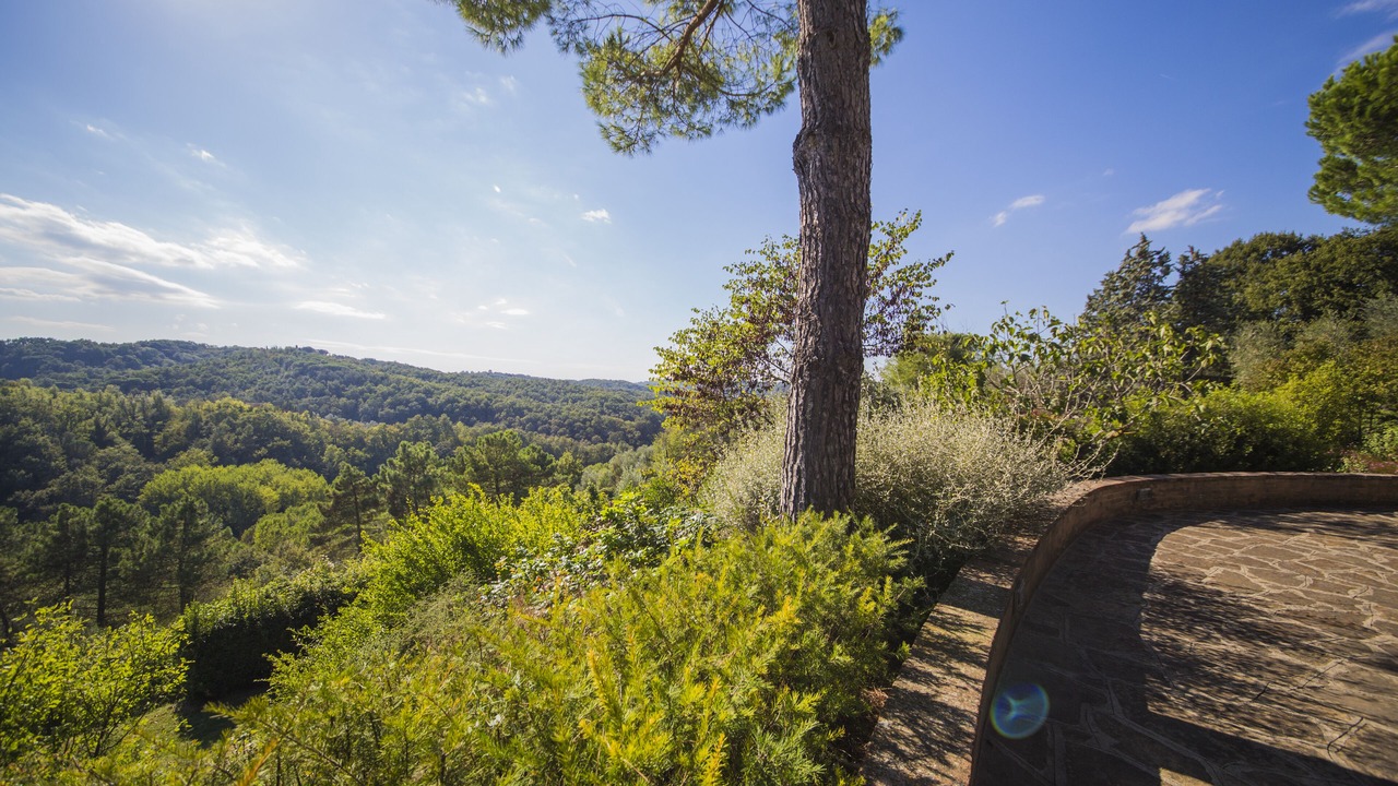 Photo of Outdoor in Palaia